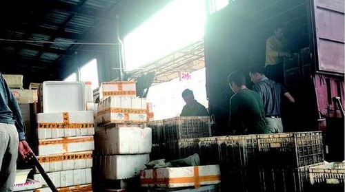 武汉一市场内有人专收死虾 被运进一食品加工厂