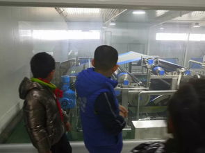 向美教育 研学专题 关注食品安全 做食品小达人 斥山完小四年级开展研学实践活动